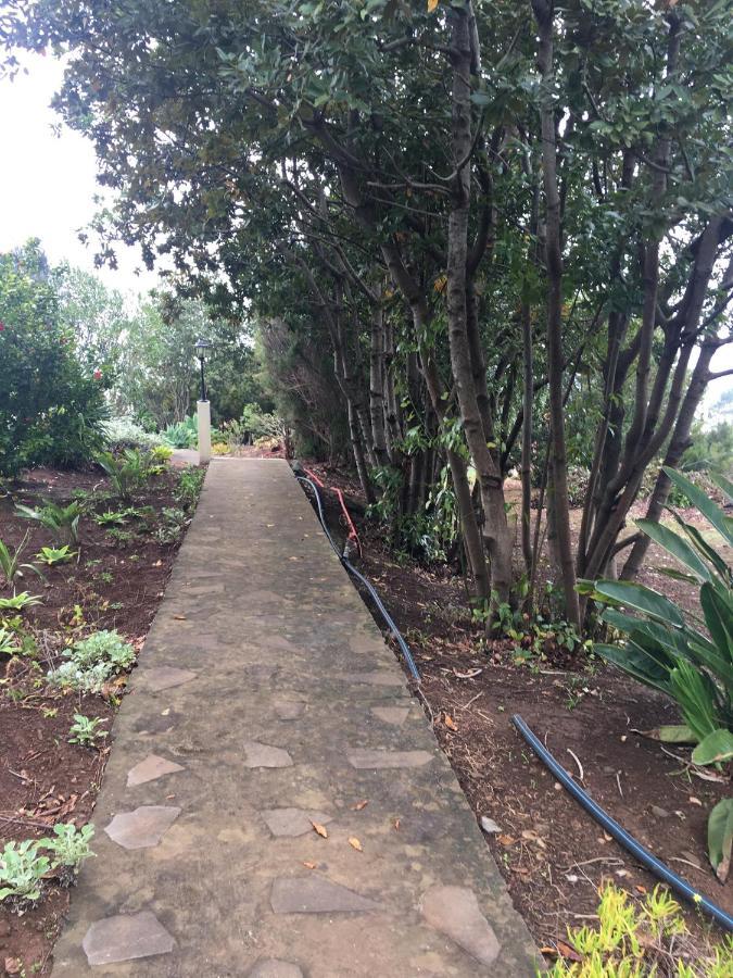 Bungalows Do Amparo ปอนตา ดู ปาร์โก ภายนอก รูปภาพ